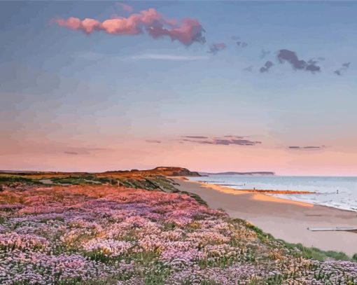 Southbourne Beach Flowers Paint by number