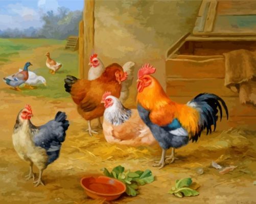 The Chickens And Pigeons paint by number