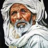 The Old Arabian Man Paint by number