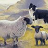 The Sheep And Dog paint by number