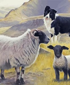 The Sheep And Dog paint by number