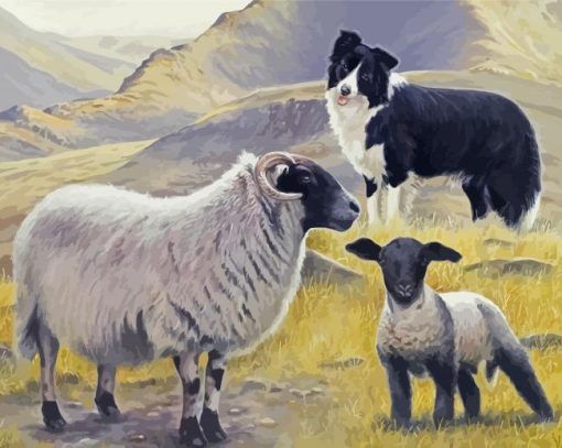 The Sheep And Dog paint by number