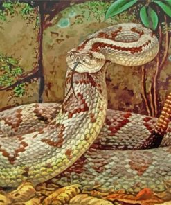 The Rattlesnake paint by number