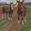 Two Clydesdales In Farm Paint by number