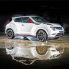 White Nissan Juke Reflection paint by number