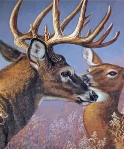 Whitetail Buck And Doe paint by number