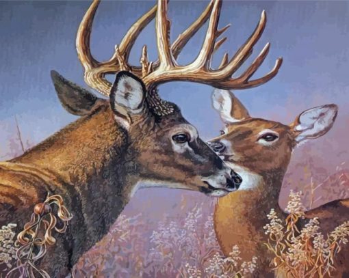 Whitetail Buck And Doe paint by number