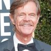 William H Macy Actor paint by number