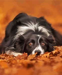 Adorable Border Collie In Leaves Paint by number