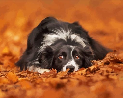 Adorable Border Collie In Leaves Paint by number