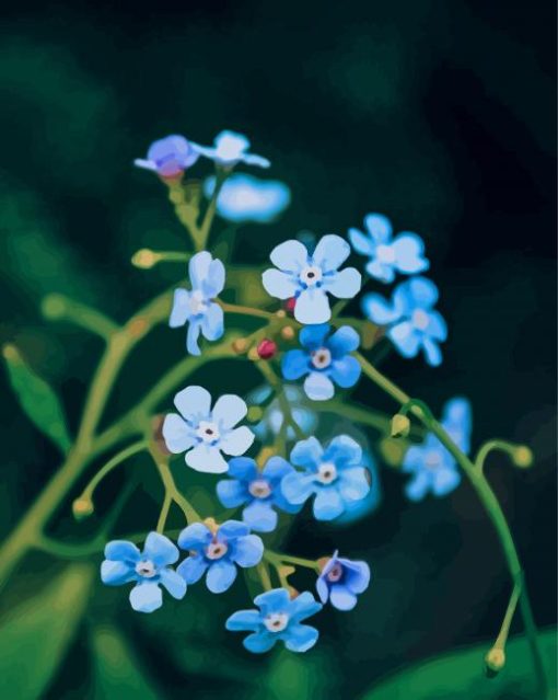 Blue Italian Flowers paint by number