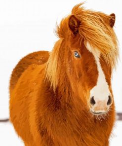 Brown Icelandic Horse paint by number