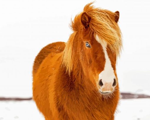 Brown Icelandic Horse paint by number