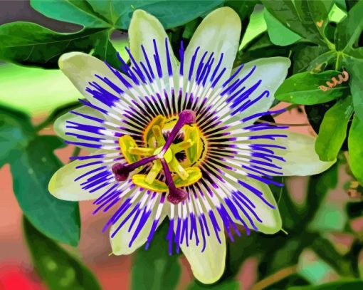 Cool Blue Passion Flower paint by number