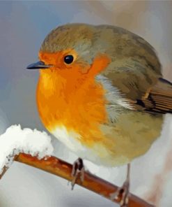 Cool Winter Robin paint by number