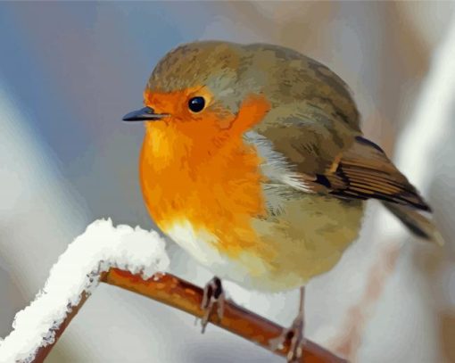 Cool Winter Robin paint by number