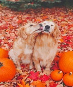 Cute Autumn Golden Retriever paint by number