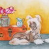 Cute Chinese Crested Dog paint by number