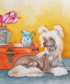 Cute Chinese Crested Dog paint by number