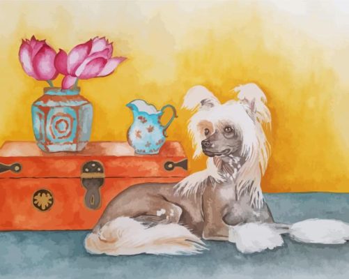 Cute Chinese Crested Dog paint by number