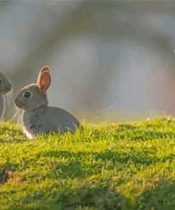 Cute Three Bunnies paint by number