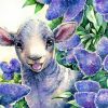 Cute Lamb paint by number