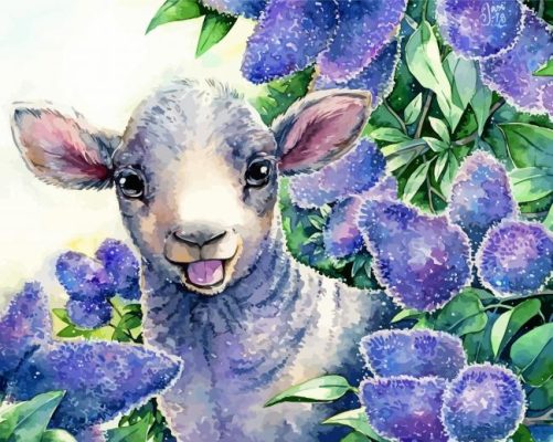 Cute Lamb paint by number