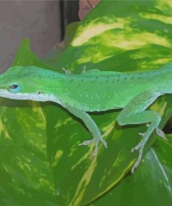 Green Anole Lizard Paint by number