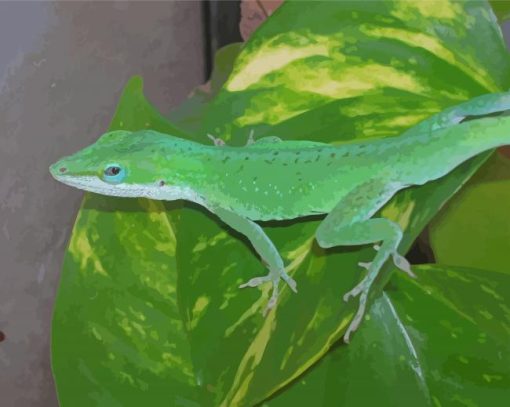 Green Anole Lizard Paint by number