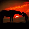 Horse And Girl Silhouette Sunset Paint by number