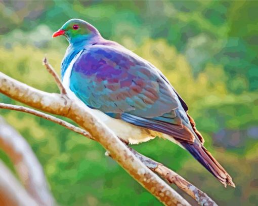 Kereru Bird On A Branch Paint by number