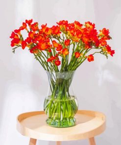 Orange Freesia Flowers paint by number