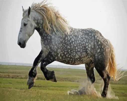 Percheron Horse Animal Paint by number