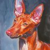 Pharaoh Hound Dog Art paint by number