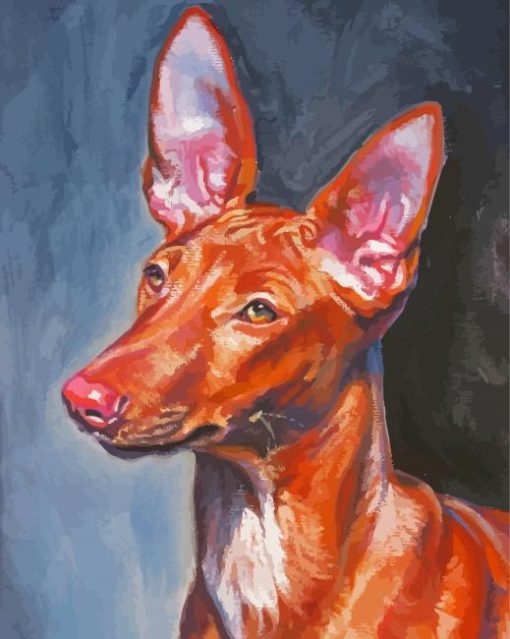 Pharaoh Hound Dog Art paint by number