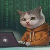 Programmer Cat paint by number