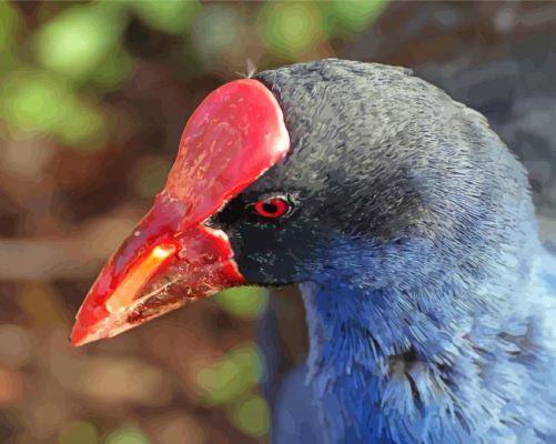 Pukeko Head paint by number