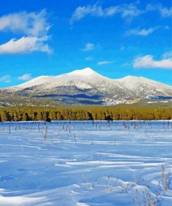 Snowy San Francisco Peaks paint by number