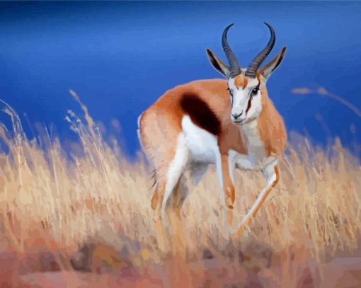 Springbok paint by number