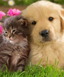 Tabby Kitten And Golden Spaniel Puppy Friends paint by number