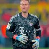 The Goalkeeper Manuel Neuer paint by number