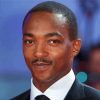 The American Actor Anthony Mackie paint by number