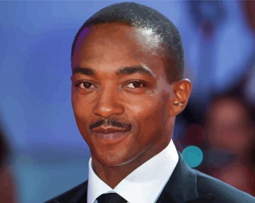 The American Actor Anthony Mackie paint by number