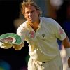 The Australian Cricketer Shane Warne paint by number