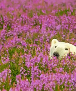 White Bear In Lavender Field paint by number