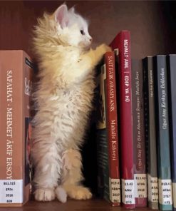 White Kitten Library paint by number