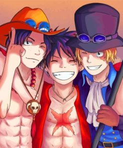 Ace Luffy Sabo Friends paint by number