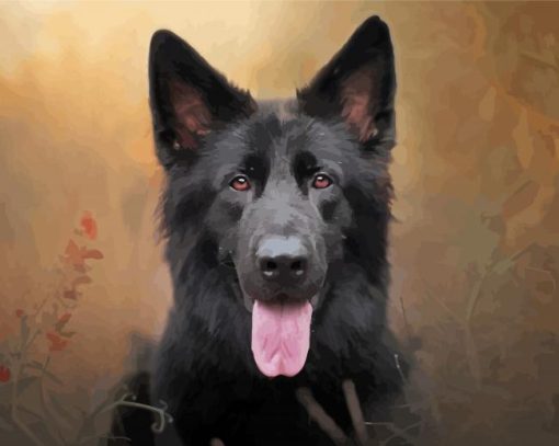 Black German Shepherd Head paint by number