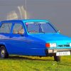 Blue Robin Reliant paint by number