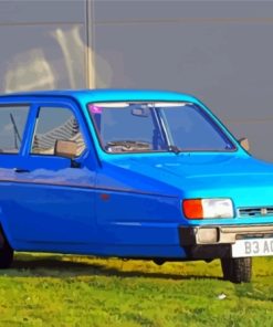 Blue Robin Reliant paint by number